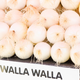 Walla Walla onions at a farmer’s market. Oh, baby.